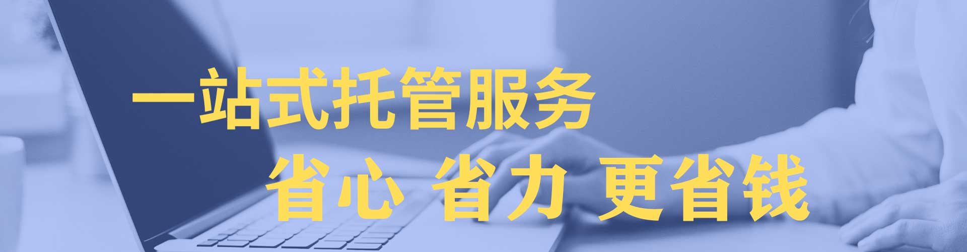 大树百度推广平台